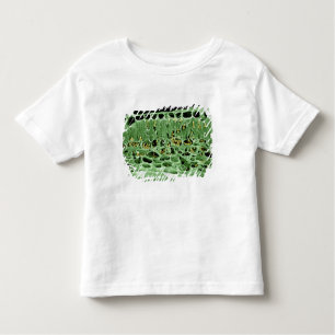 Cross Section of Leaf Toddler T-Shirt