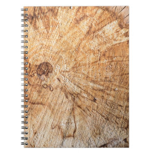 Cross-section of the apple tree (Malus)abstract, b Notebook