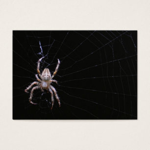 Cross Spider ~ ATC