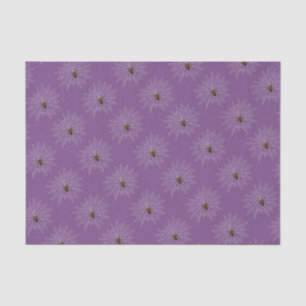 Cross spider in the net gift paper