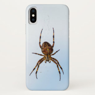 cross spider in web iPhone x case