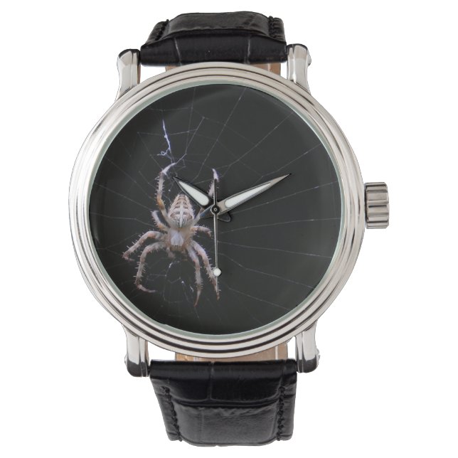 Cross Spider ~ watch (Front)