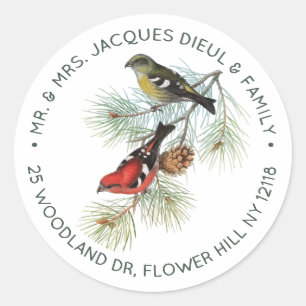 Crossbill Bird Personalised Sage Text  Classic Round Sticker