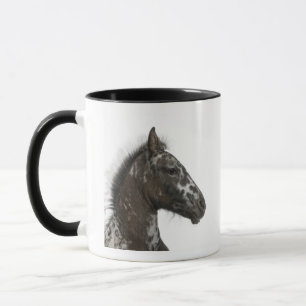 crossbreed Foal between a Appaloosa and a Mug