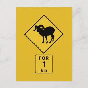 Crossing Mountain Goats (2), Traffic Sign, Canada Postcard