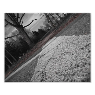 Crossing the Road 8x10 Photo Print