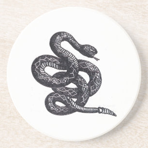Crotalus Cascavella Snake (Venemous Pit Viper) Coaster