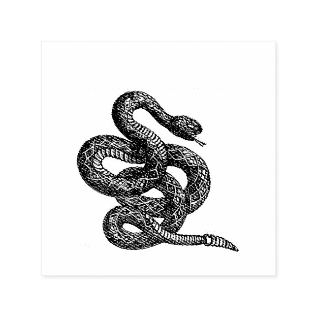 Crotalus Cascavella Snake (Venemous Pit Viper) Self-inking Stamp (Design)