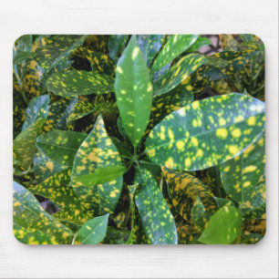 Croton Plant Mouse Pad
