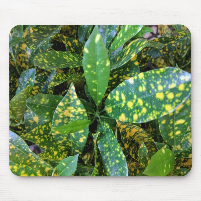 Croton Plant Mouse Pad (Front)