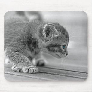 Crouching Kitten Mouse Pad