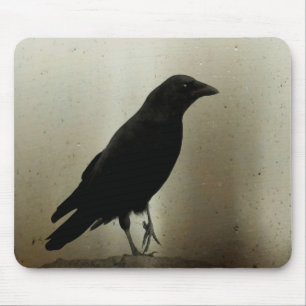 Crow And One Talon up Mouse Pad