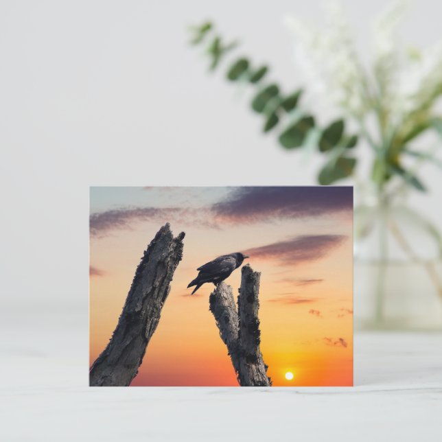 Crow at Sunrise Postcard (Standing Front)