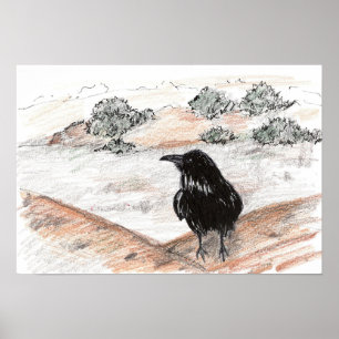 Crow Bird Desert Landscape Red Rocks Nature Poster