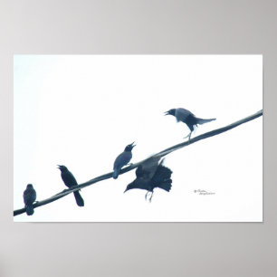Crow birds acrobatics Poster