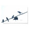 Crow birds acrobatics Poster