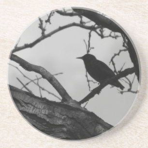 Crow Coaster