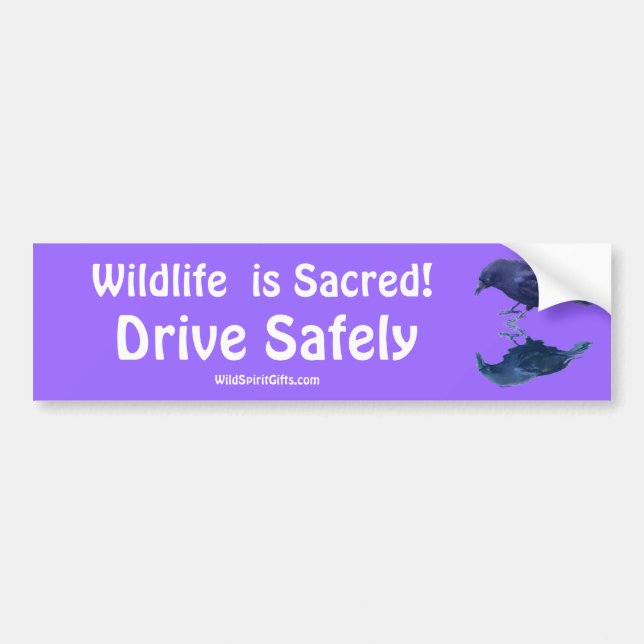 CROW Collection Bumper Sticker (Front)