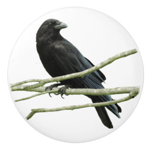 Crow Drawer Knob