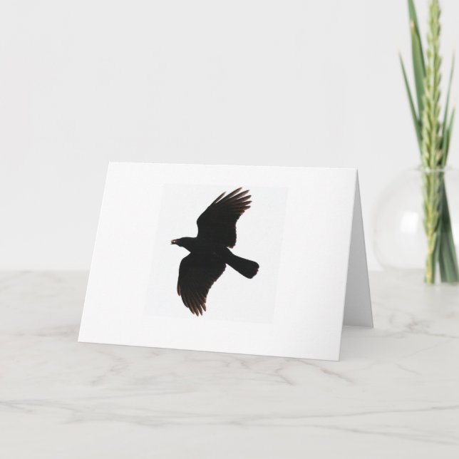 crow greeting cards (Front)