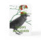 Crow Holiday Greeting Card
