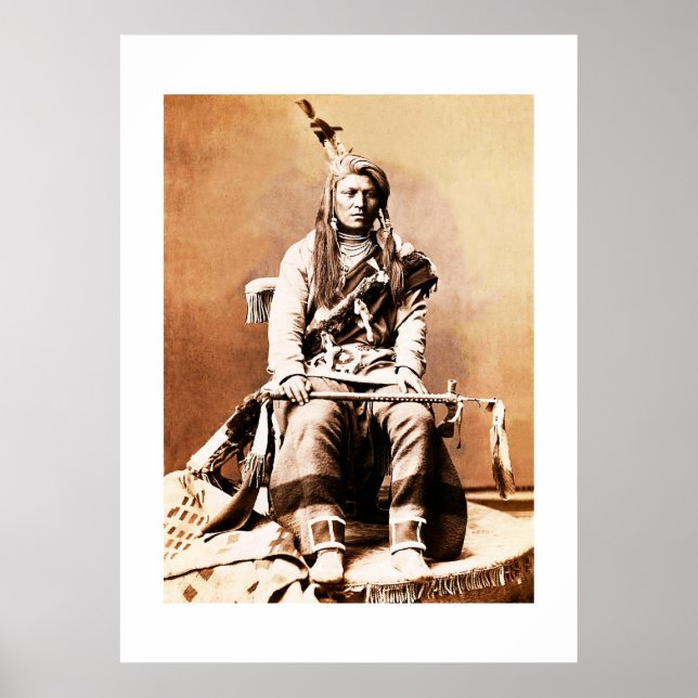 Crow Indian 1880 Poster (Front)