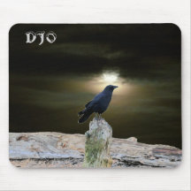 Crow on Driftwood Beach getting Moon Tan