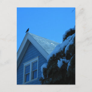 Crow on Roof in Winter Postcard