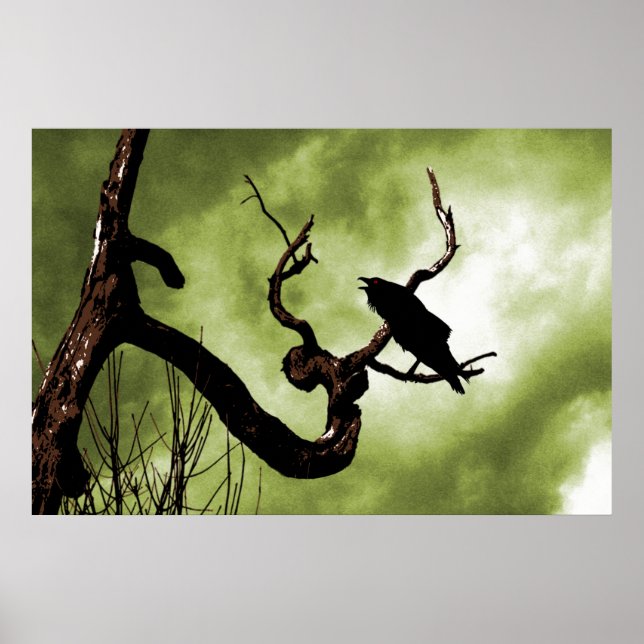 Crow Perching On A Dead Tree Branch Poster (Front)