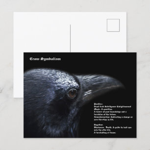 Crow postcard