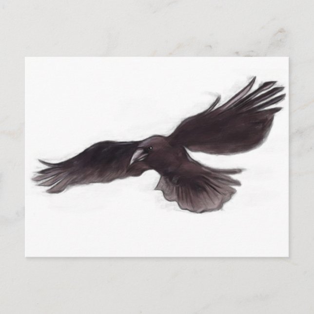 Crow Postcard (Front)