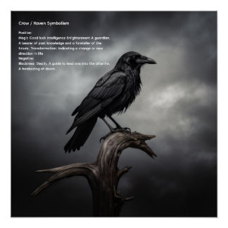 Crow Poster