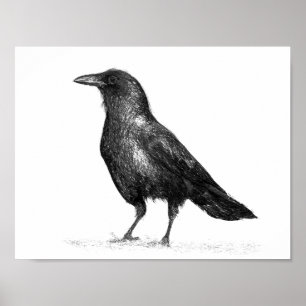 Crow Poster