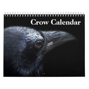 Crow Raven 2024 Calendar