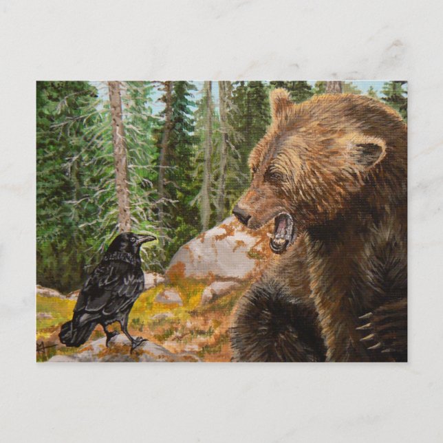 Crow Raven teasing Grizzly Bear wildlife postcard (Front)