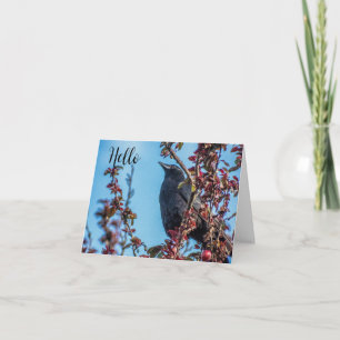 Crow Says Hello  Thank You Card