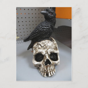 Crow & Skull Postcard