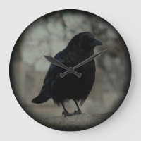 Crow The Timekeeper
