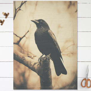 Crow Vintage Style Decoupage Tissue Paper