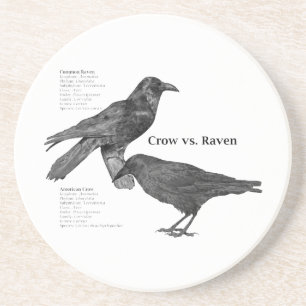 crow-vs-raven coaster