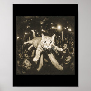 Crowd Surfing Cat Meme Disco Party Cat Gang Night Poster