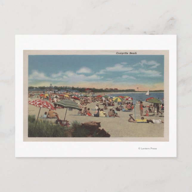 Crowded Beach Scene Postcard (Front)