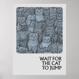 Crowded cats - proverbs poster