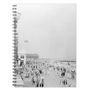 Crowds 2 notebook