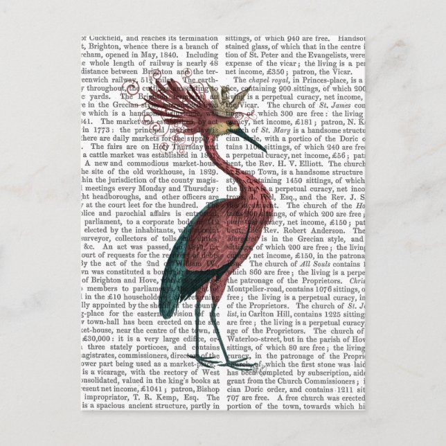 Crowed Marsala Heron Postcard (Front)