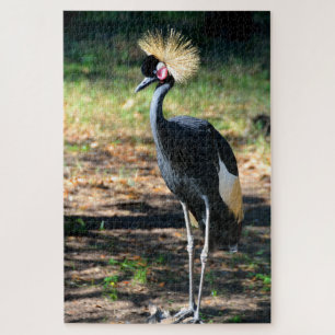 Crown Crested Crane bird Jigsaw Puzzle