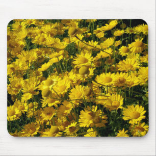 Crown Daisies / Chrysanthemum Coronarium Mouse Pad