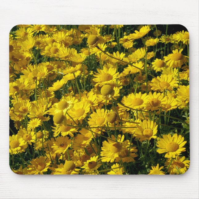Crown Daisies / Chrysanthemum Coronarium Mouse Pad (Front)