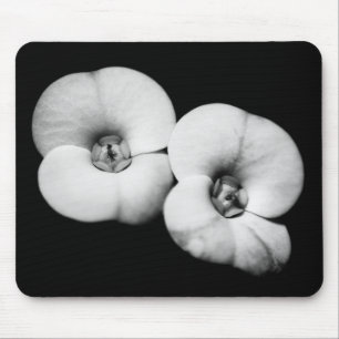 crown of thorns mouse pad