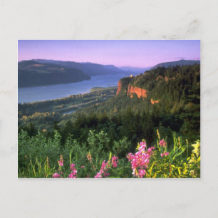 Crown Point, Columbia River Gorge, Oregon Postcard